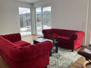 Charming Rooms in a modern House Hellenthal